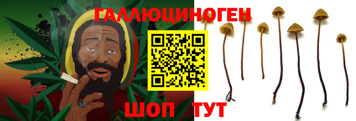 Галлюциногенные грибы Magic Shrooms Верхний Уфалей